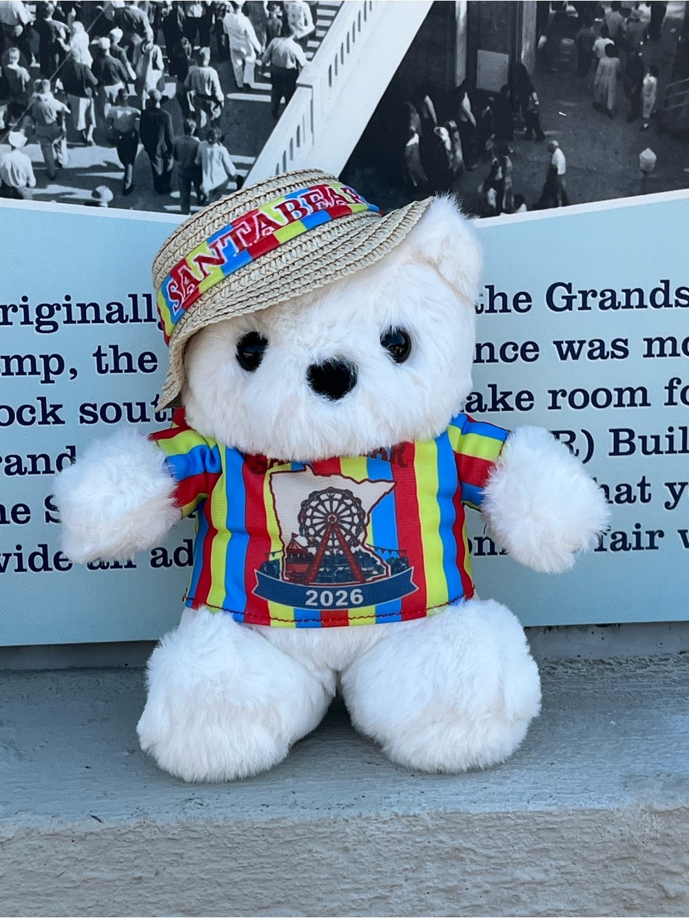 Dayton’s Minnesota State Fair Exclusive Summer Santabear